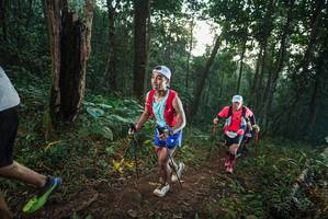 BIB: 
                            <button type="button" onclick="openModal(22432692)" class="btn btn-primary btn-sm float-right btn-popup" data-toggle="modal" data-target=".modal-high-quality">
                        <i class="fas fa-shopping-cart"></i> Add to Cart
                    </button>
                                            <button type="button" onclick="isThisMe(22432692, true)" class="btn btn-success btn-sm float-right btn-popup btn-isme hidden" data-toggle="tooltip" data-placement="bottom" title="นี่คือรูปของคุณใช่ไหม คลิกที่นี่เพื่อเอาเข้าอัลบั้ม">
                        <i class="fas fa-plus"></i> Add to album
                    </button>
                    <button type="button" onclick="isThisMe(22432692, false)" class="btn btn-warning btn-sm float-right btn-popup btn-isnotme hidden">
                        <i class="fas fa-ban"></i> Remove from album
                    </button>